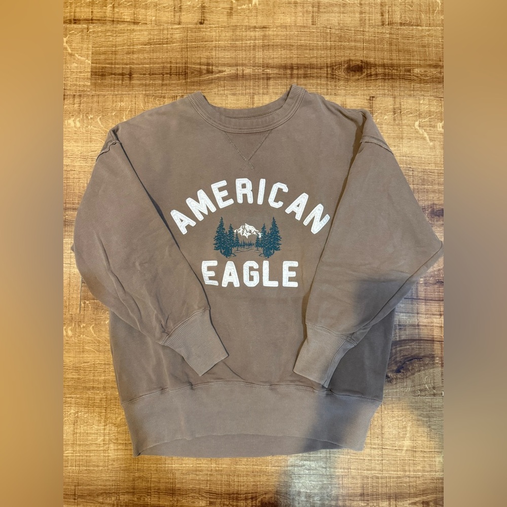 American Eagle Outfitters Vintage Brown Crewneck with Logo